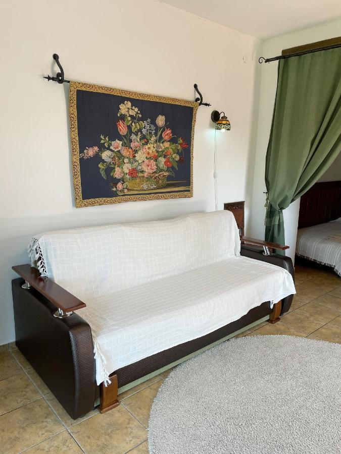 Villa Zoryany Dvir Skhidnytsia Εξωτερικό φωτογραφία