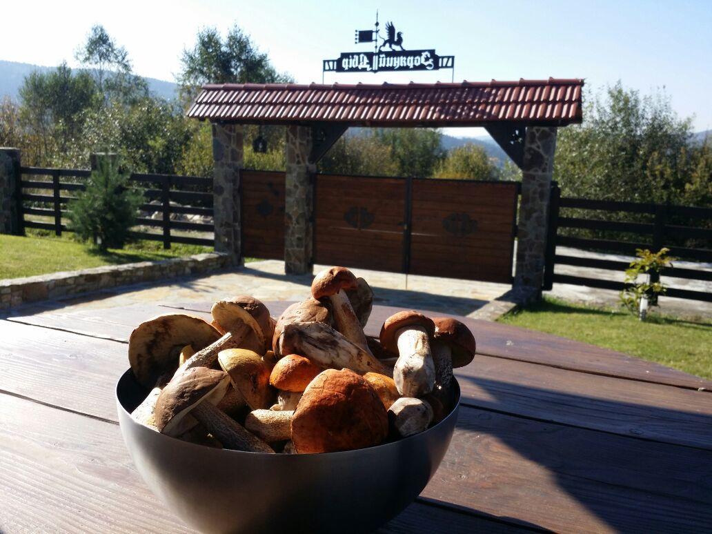 Villa Zoryany Dvir Skhidnytsia Εξωτερικό φωτογραφία